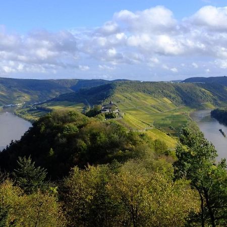 شقة Weingut Helmut Barzen زيل ان دير موسل المظهر الخارجي الصورة